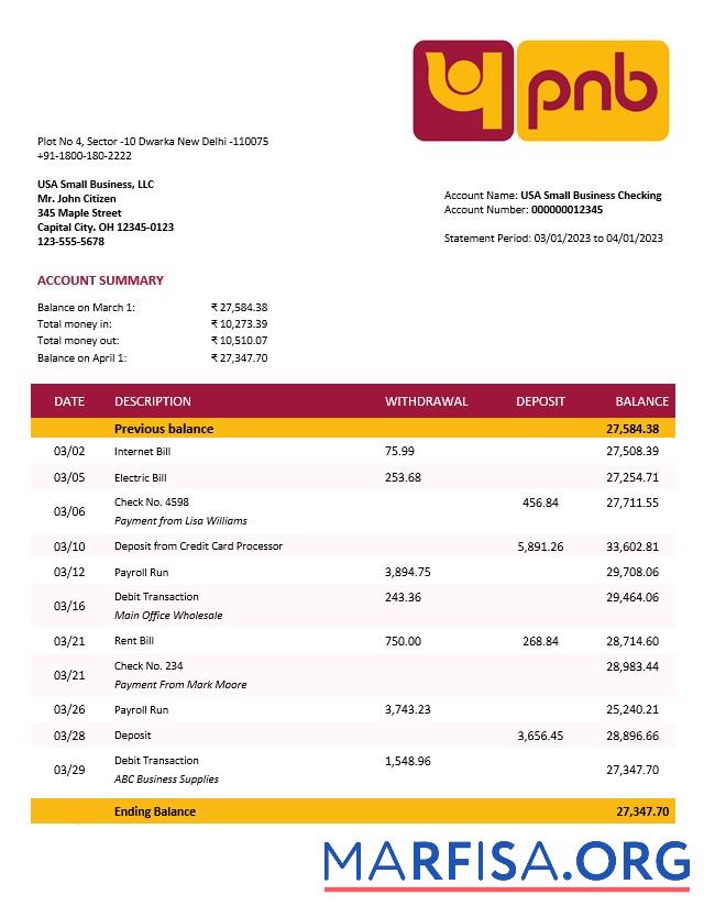 Downloadable Punjab National Bank business statement Word and PDF template